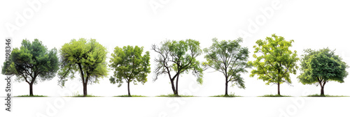 Trees Isolated on White Background, generative ai