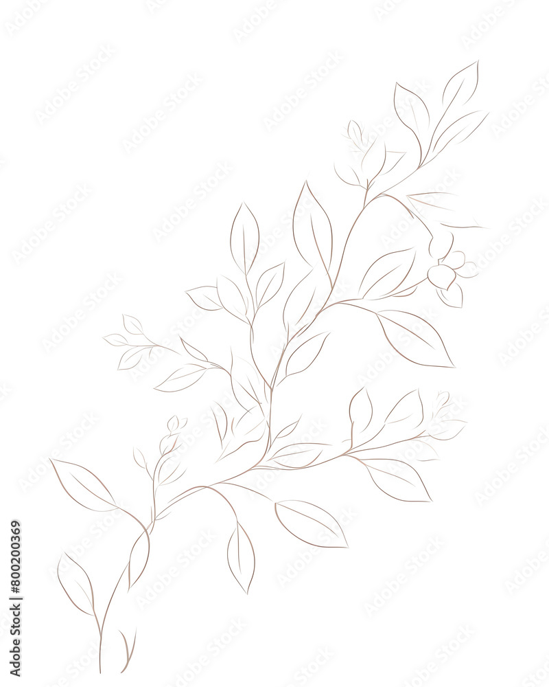 Arrowhead vine, Hand drawn wedding card Arrowhead vine, Hand drawn wedding card