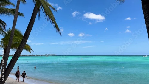 Magnificent turquoise sea through palm trees on Trou aux biches beach on the tropical island of Mauritius. A couple walking on the white sand beach (ID: 800200306)