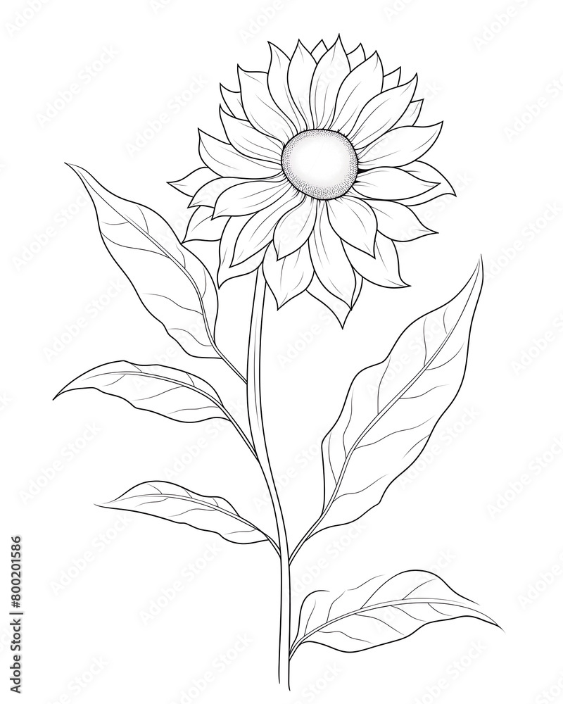 Sunflower leaf, Hand drawn wedding card Sunflower leaf, Hand drawn wedding card