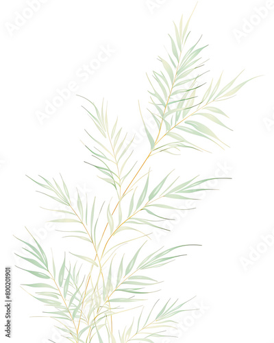 Areca palm, Hand drawn wedding card