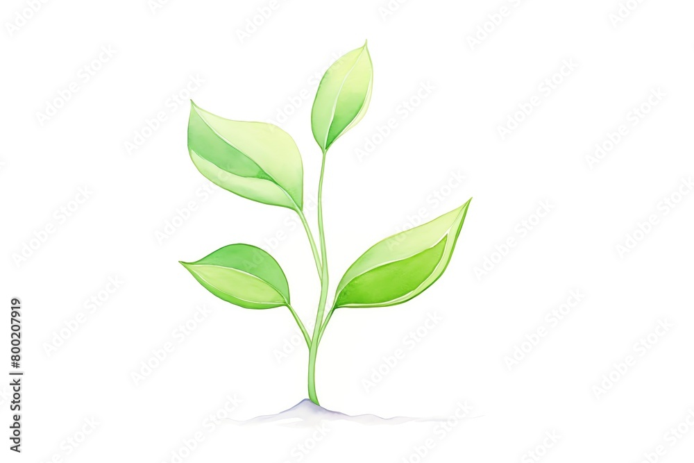 A young, vibrant green seedling standing upright, its delicate leaves unfolding, set against a pure white background to symbolize new beginnings and the potential of life. cartoon drawing, water color A young, vibrant green seedling standing upright, its delicate leaves unfolding, set against a pure white background to symbolize new beginnings and the potential of life. cartoon drawing, water color
