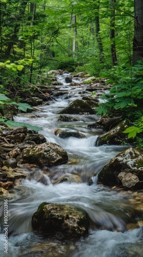 Forest stream flowing over smooth rocks calming water sounds