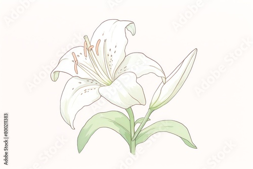 Capture the essence of elegance with a tilted angle view of a delicate lily, showcasing intricate petals and graceful curves in a watercolor painting. cartoon drawing, water color style.