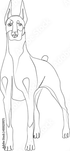 One line doodle, drawn portrait of a Doberman dog.