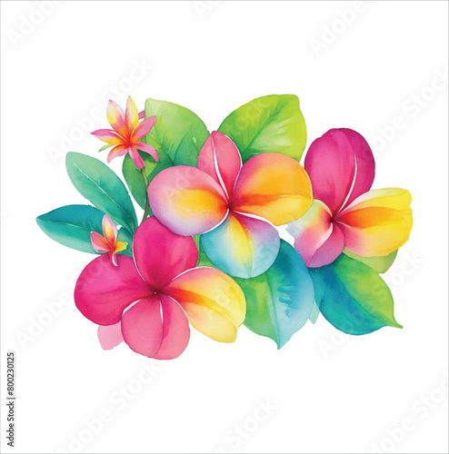 Watercolor Plumeria Flower