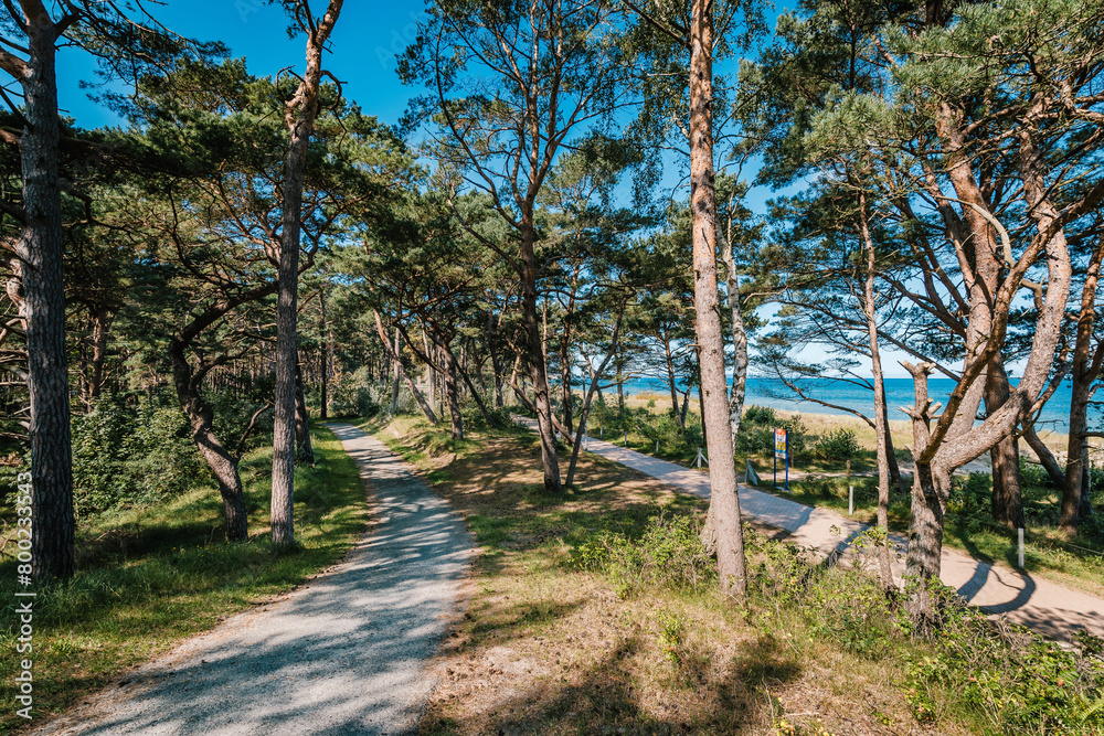 Promenade Baabe - Göhren, Ostsee Insel Rügen Promenade Baabe - Göhren, Ostsee Insel Rügen