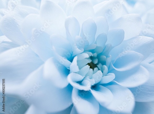 Floral light blue template