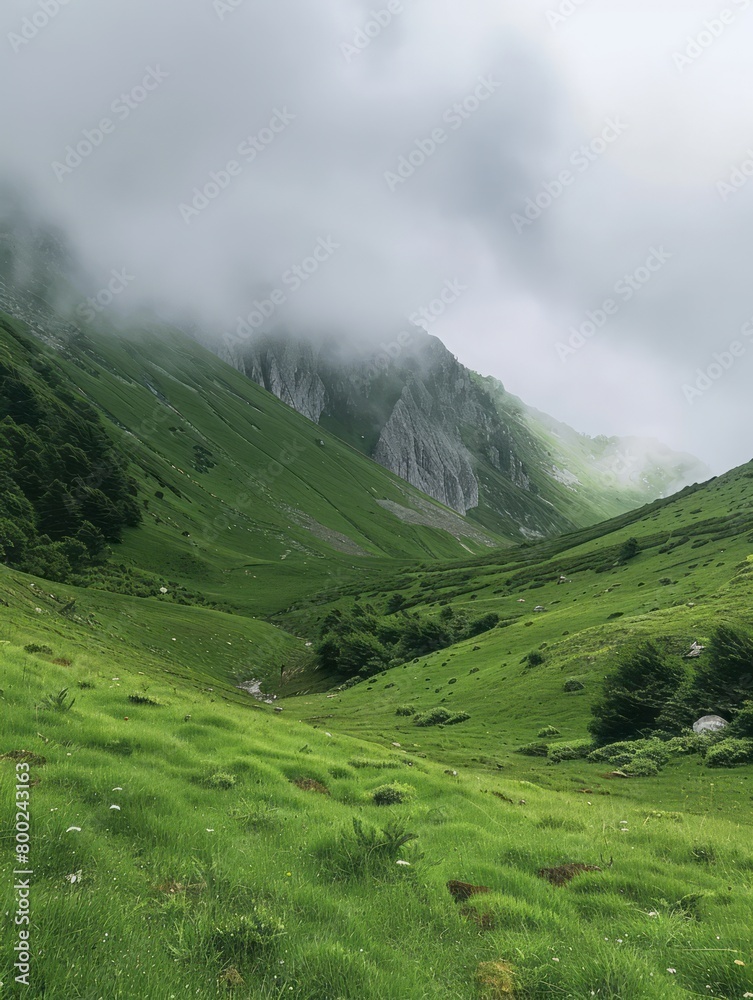 A breathtaking landscape of towering, interwoven mountain peaks adorned with lush greenery, veiled in mist and clouds, creating a refreshing atmosphere. The image is portrayed vertically.