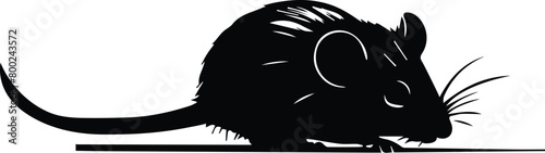 Silhouette of a rat - Mouse silhouette	