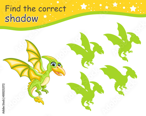 Find correct shadow of green pterodactyl dinosaur vector