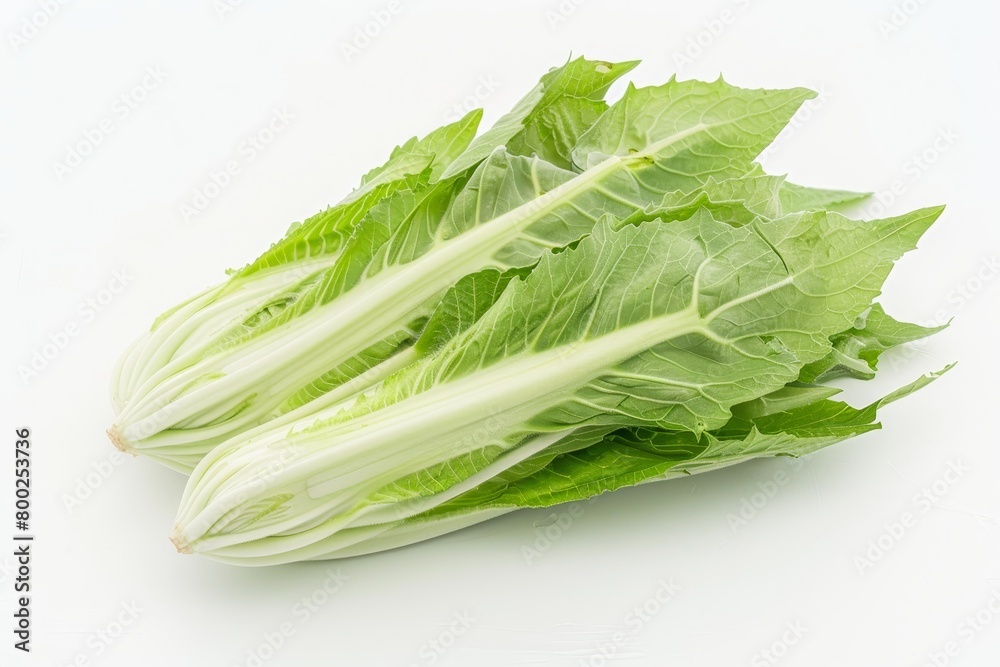 Light green Sugarloaf chicory with elongated leaves on white backdrop