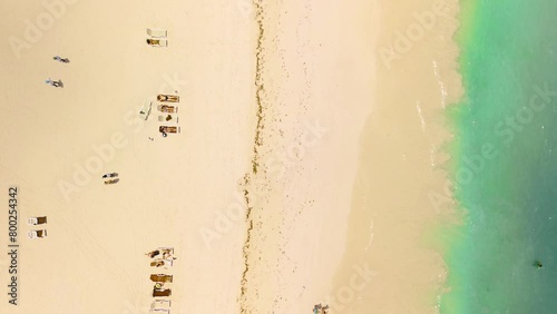 Top down aerial view of golden beach meeting turquoise waters, where tourists lounge on sunbeds, embodying a sense of minimalistic relaxation photo