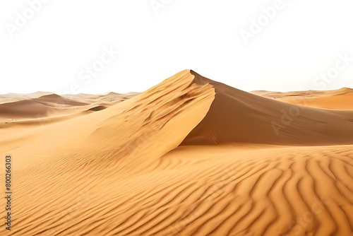 Sandy desert dunes as panorama Dessert Sand Isolated Sweeping Sand Dunes and Wind Patterns.