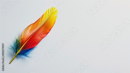 A minimalist background with a single  colorful bird feather against a clean white background  representing the beauty and diversity of wildlife.