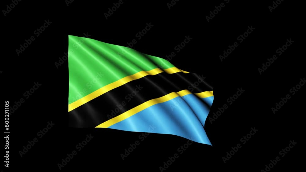 Tanzania Flag Loop