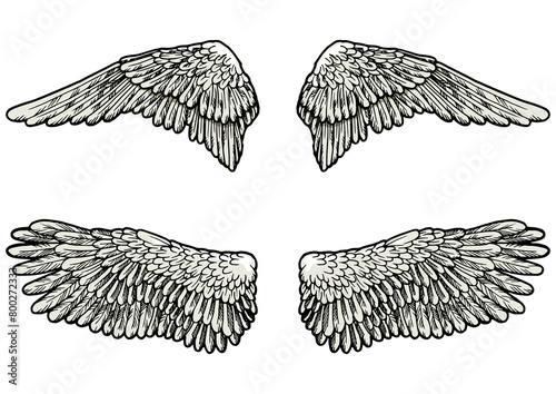 Bird angel wings set sketch engraving PNG illustration. Scratch board style imitation. Black and white hand drawn image.
