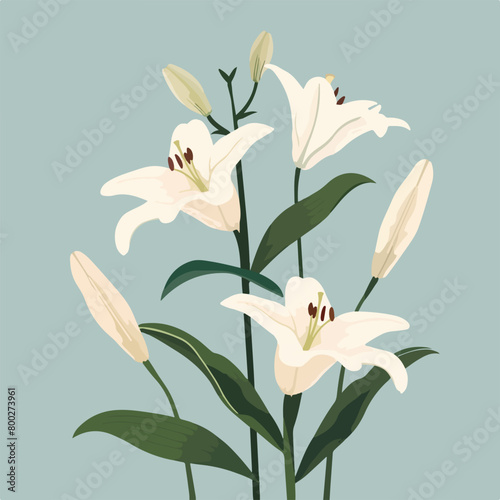 Elegant blooming lilies with buds, cut out