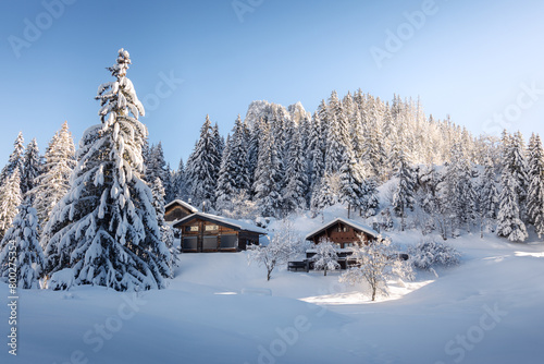 Winter view of typical Swiss chalets in the middle of a forest of fir trees covered by snow
