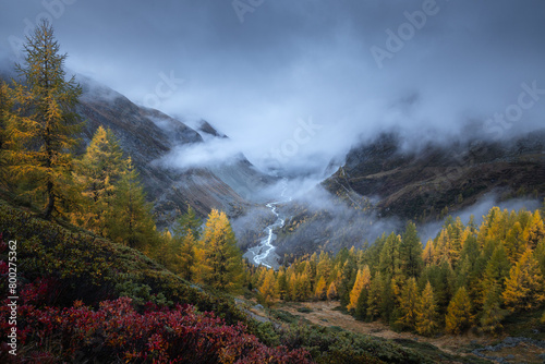 Autumn landscape view of a valley surrounded by larches and dark clouds