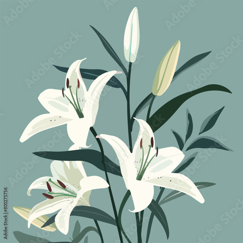 Elegant blooming lilies with buds, cut out