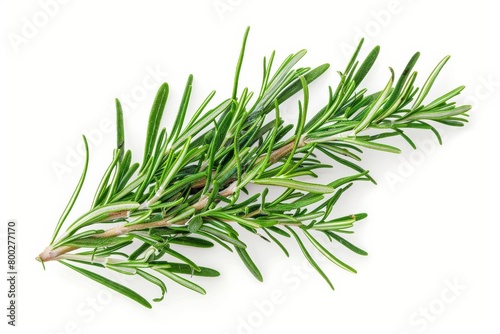 Overhead view of Rosemary on white background