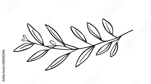 simple line art of a single olive branch on white background