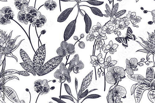 Beautiful orchids garden. Seamless floral Vintage pattern. Black and white. Vector