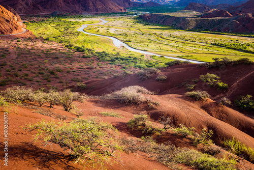 A river and green valley in a red desert landscape