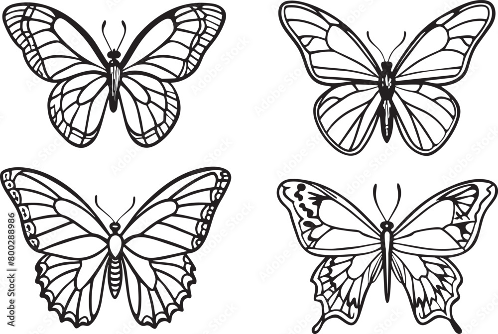 set off Butterflies . Black and white vector illustration isolated on white background. set off Butterflies . Black and white vector illustration isolated on white background.