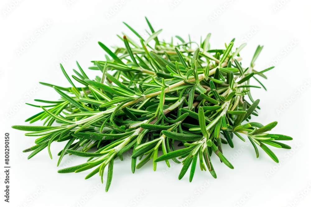 Rosemary versatile herb with fragrant used in food desserts and drinks laid on white background Rosemary versatile herb with fragrant used in food desserts and drinks laid on white background