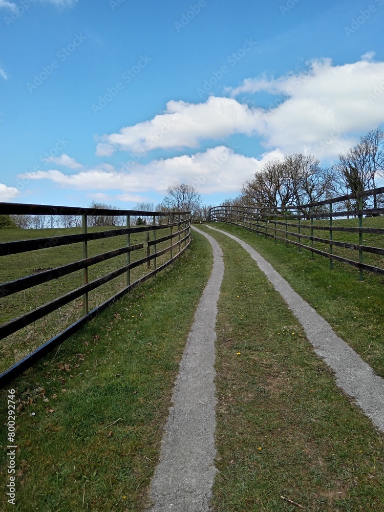 wooden fence along a green lawn and a dirt road on a spring day in the park