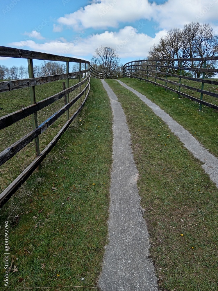 wooden fence along a green lawn and a dirt road on a spring day in the park