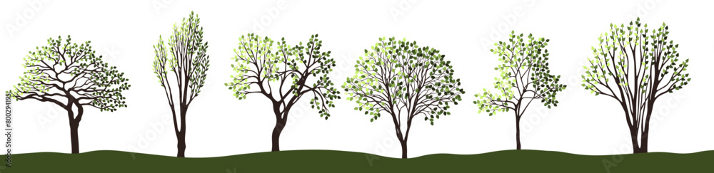 Tree silhouettes for the landscape design. Entourage design. Vector illustration.