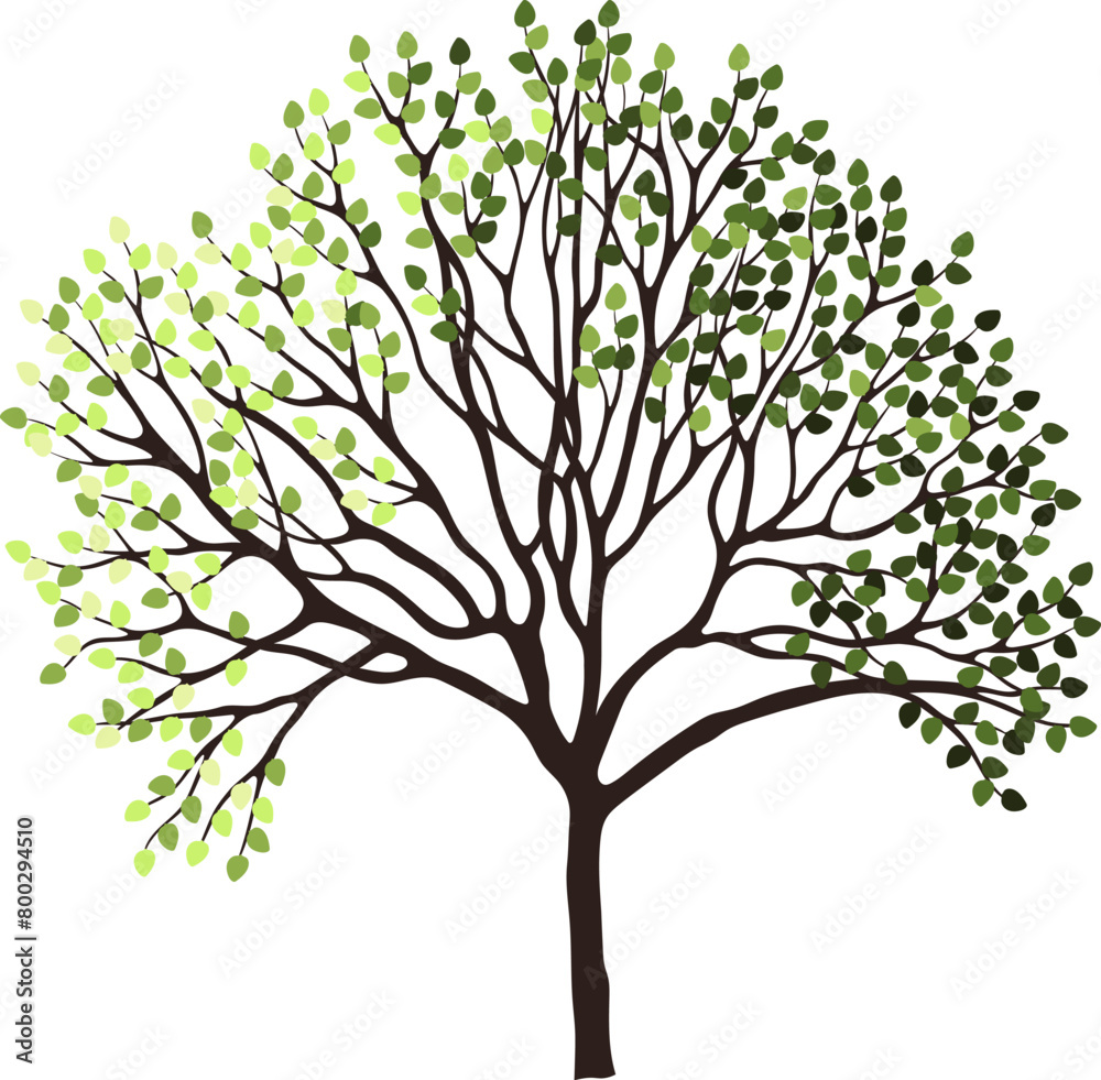 Tree silhouette for the landscape design. Entourage design. Vector illustration. Tree silhouette for the landscape design. Entourage design. Vector illustration.