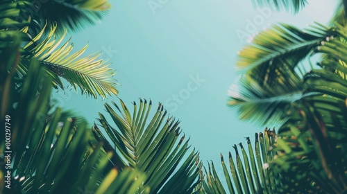 Vibrant green palm leaves fanned out against a serene blue sky, giving a tropical and refreshing vibe. photo