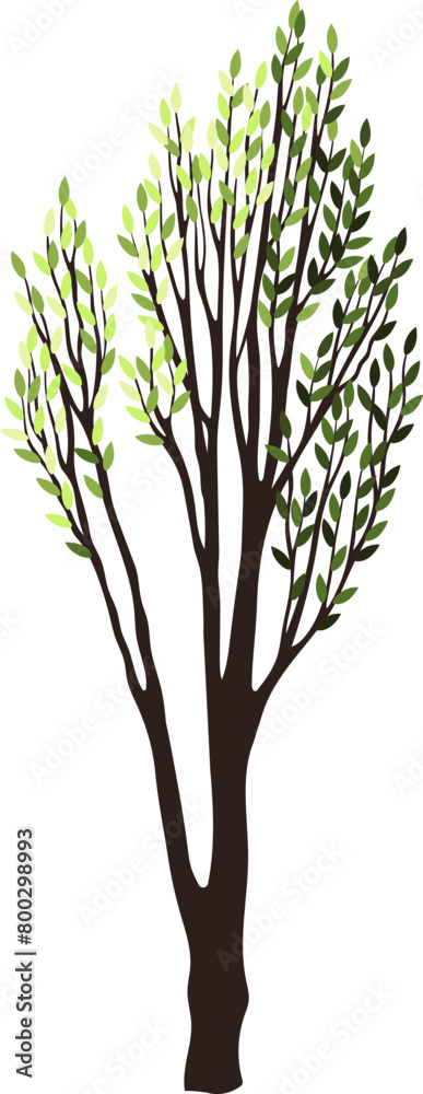 Fototapeta premium Tree silhouette for the landscape design. Entourage design. Vector illustration.