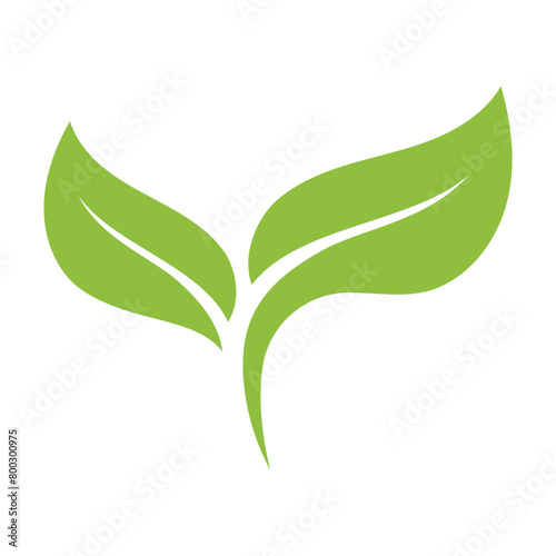 Plant Green Leaves