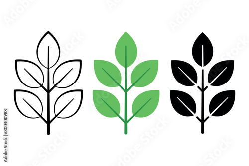 Plant Leaves Three Styles