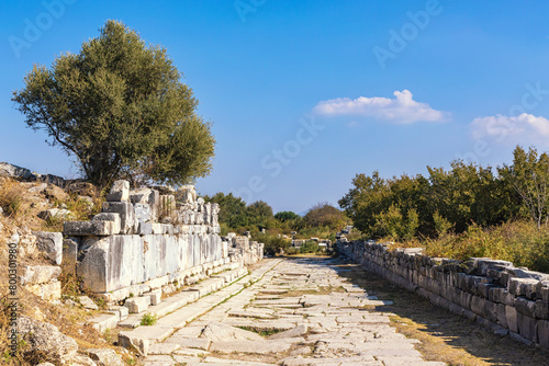 Street's remains at Miletus. A weathered path lined with ruins unfolds under a serene sky in ancient Miletus. Milet (Aydin), Turkey (Turkiye) photo