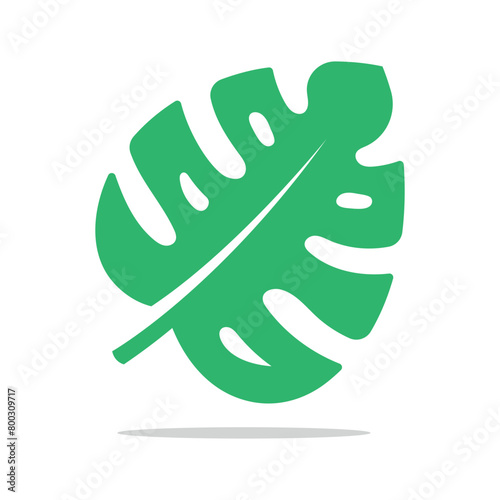 Monstera Leaf Flat Vector
