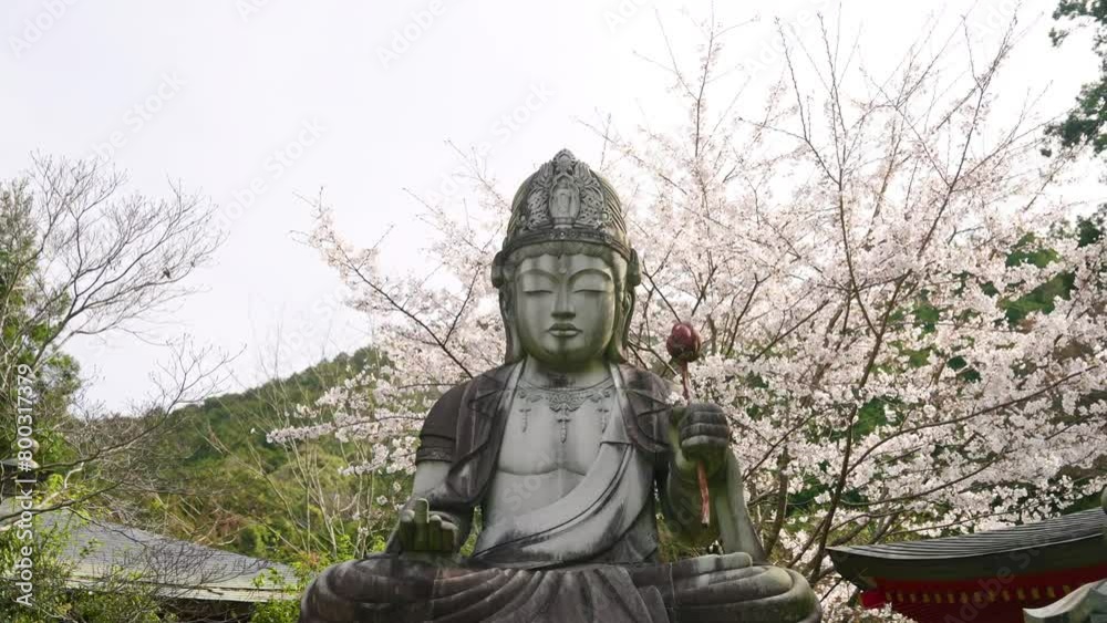 Huge Buddha Statue In Tsubosaka-dera Temple With Spring Sakura Flowers In Takatori, Japan. Low Angle Shot Huge Buddha Statue In Tsubosaka-dera Temple With Spring Sakura Flowers In Takatori, Japan. Low Angle Shot