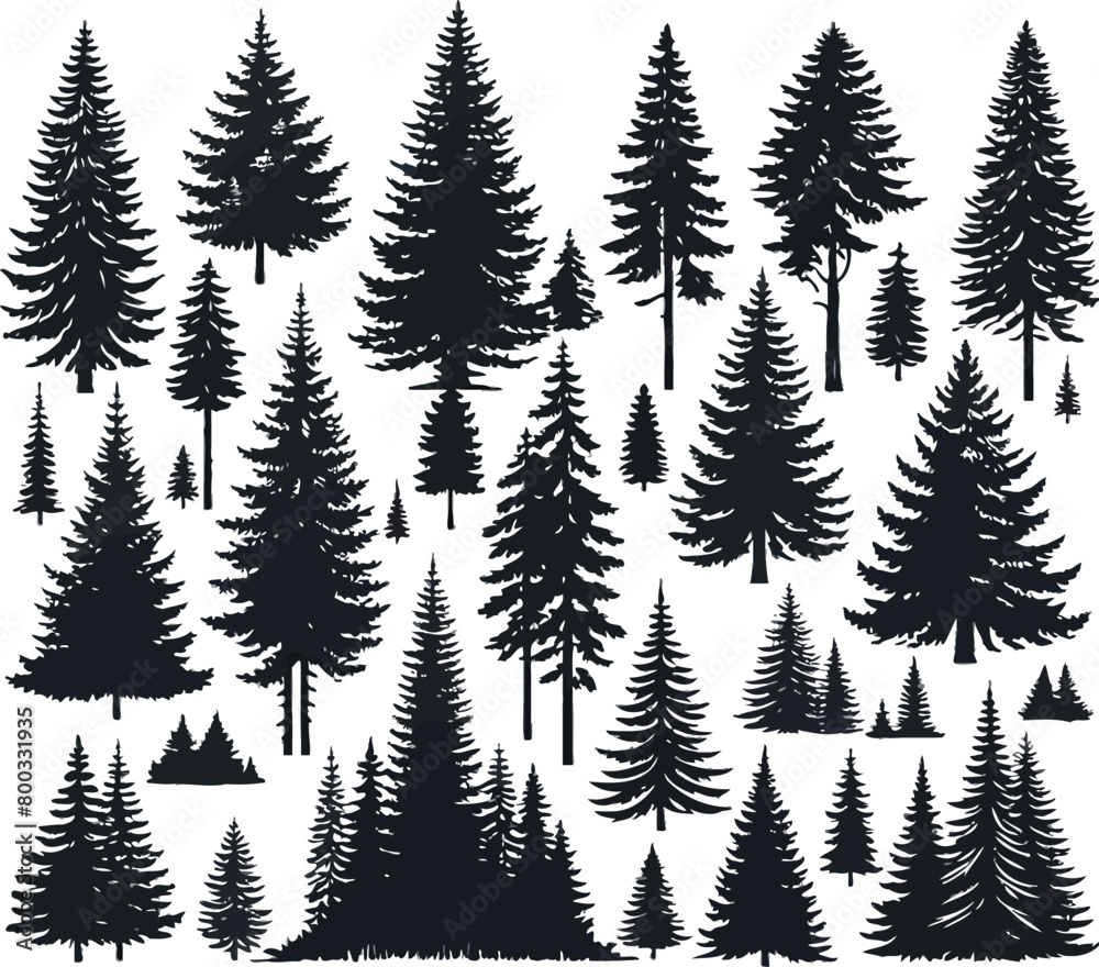 Obraz premium Trees silhouettes. Forest and park pines firs and spruces, coniferous and deciduous trees.