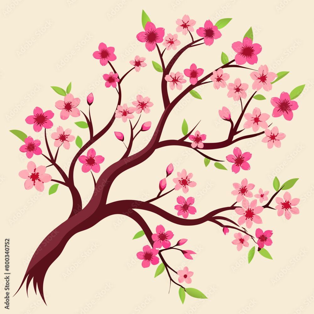 illustration of sakura