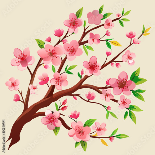 illustration of sakura