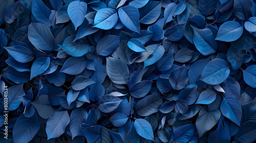 Blue color Leafs in garden background, macro pattern.