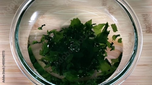 乾燥ワカメ（増えるワカメ）を水で戻すタイムラプス