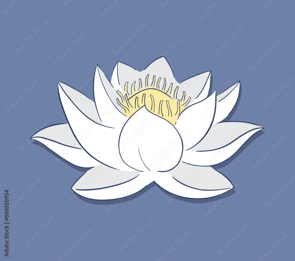Fototapeta premium Nice lotus flower