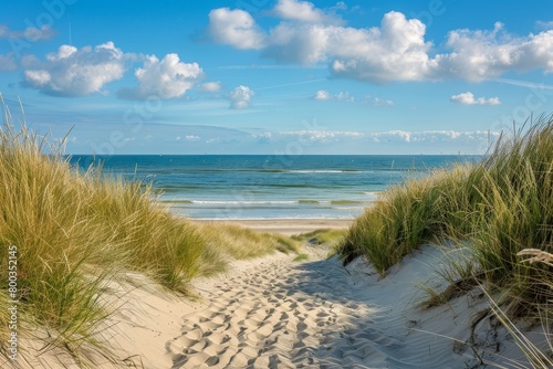 Beach. Path through dunes © Aliaksandr Siamko