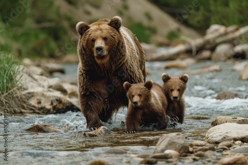 A mother bear teaching her cubs to fish in a mountain stream, capturing a moment of learning and survival bear and bear cubs in the summer forest Natural Habitat. Picture of a big brown bear © Sittipol 
